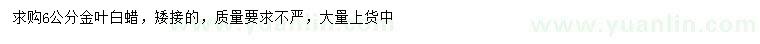求購6公分金葉白蠟