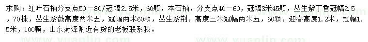 求購(gòu)紅葉石楠、本石楠、叢生紫丁香等