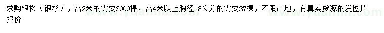 求購高2、4米銀松、銀杉