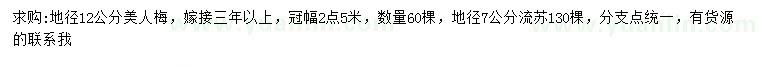 求購地徑12公分美人梅、地徑7公分流蘇