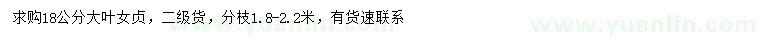 求購(gòu)18公分大葉女貞