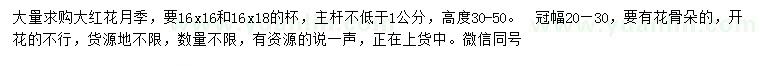 求購高30-50公分大紅花月季