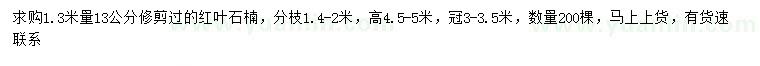 求購(gòu)1.3米量13公分紅葉石楠