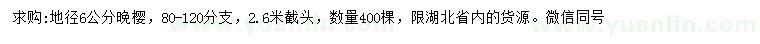 求購地徑6公分晚櫻