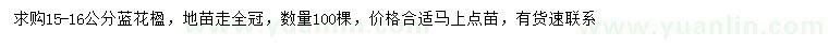 求購(gòu)15-16公分藍(lán)花楹