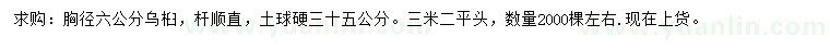 求購胸徑6公分烏桕