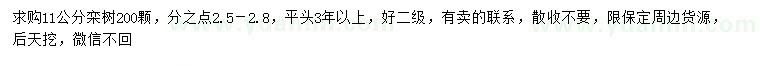 求購11公分欒樹