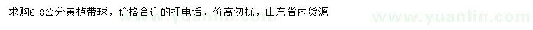 求購6-8公分黃櫨