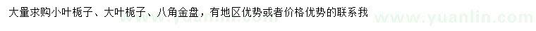 求購小葉梔子、大葉梔子、八角金盤