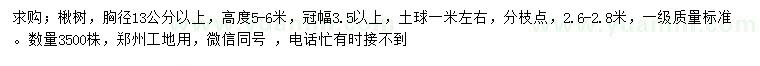 求購胸徑13公分以上楸樹