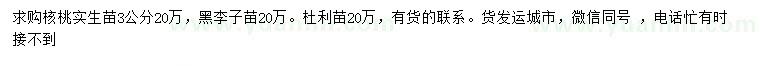 求購(gòu)核桃苗、黑李子苗、杜利苗