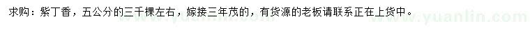 求購5公分紫丁香