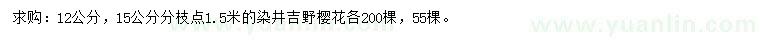 求購12、15公分染井吉野櫻