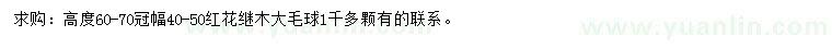 求購高60-70公分紅花繼木球