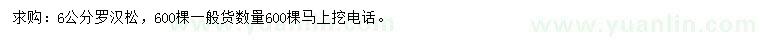 求購6公分羅漢松