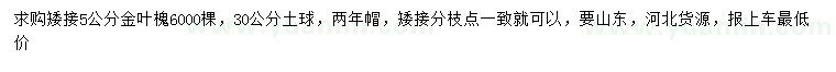 求購5公分金葉槐