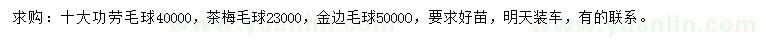 求購十大功勞球、茶梅球、金邊球