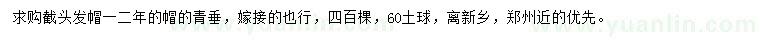 求購青垂