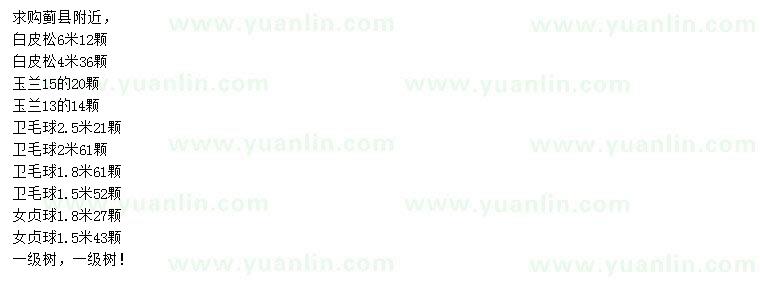 求購(gòu)白皮松、玉蘭、衛(wèi)矛球等