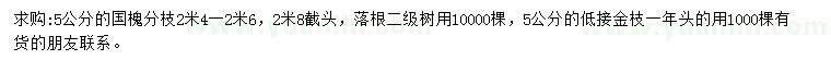 求購(gòu)5公分國(guó)槐、金枝槐