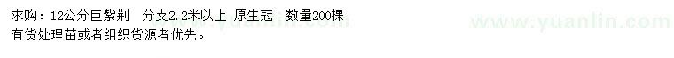 求購12公分巨紫荊