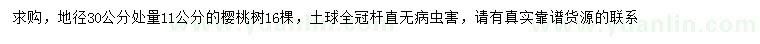 求購30量11公分櫻桃樹