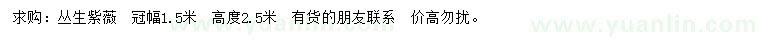 求購高2.5米叢生紫薇