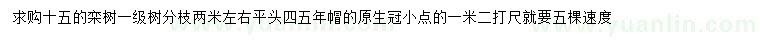 求購15公分欒樹