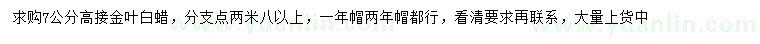 求購(gòu)7公分高接金葉白蠟