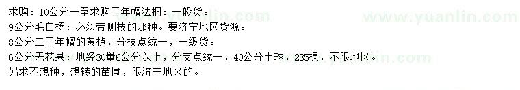 求購法桐、毛白楊、黃櫨等