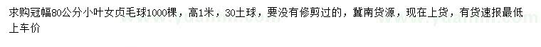 求購冠幅80公分小葉女貞球