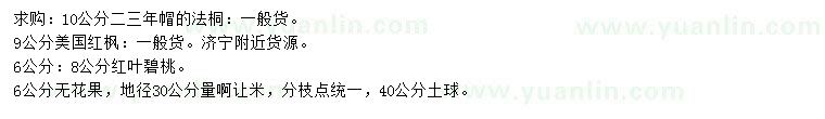 求購法桐、美國紅楓、紅葉碧桃等