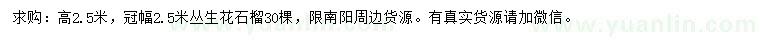 求購高2.5米叢生花石榴