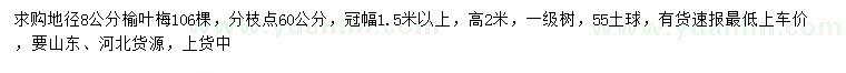 求購地徑8公分榆葉梅