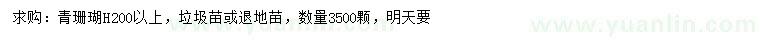 求購高200公分以上青珊瑚