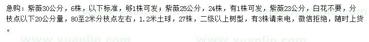 求購23、25、30公分紫薇