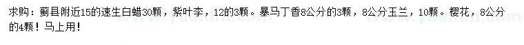 求購(gòu)速生白蠟、紫葉李、暴馬丁香等
