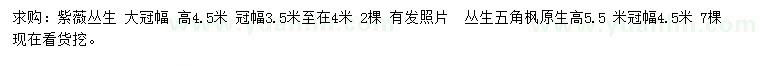求購高4.5米叢生紫薇、高5.5米叢生五角楓