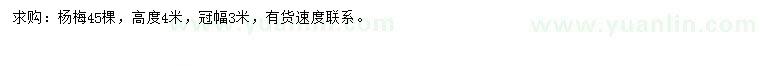 求購(gòu)高4米楊梅