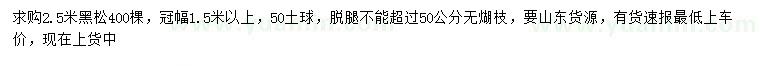 求購2.5米黑松