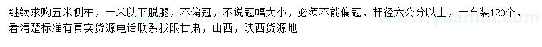 求購5米側(cè)柏