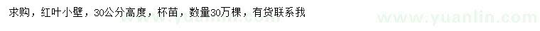 求購(gòu)高30公分紅葉小檗