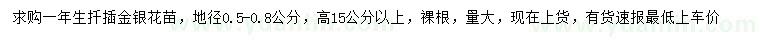 求購高15公分以上金銀花