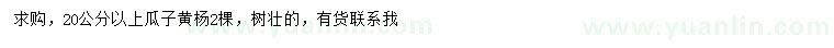 求購(gòu)20公分以上瓜子黃楊