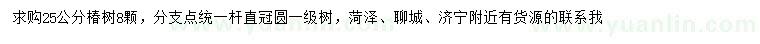 求購25公分椿樹