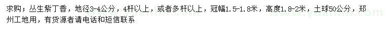 求購地徑3-4公分叢生紫丁香