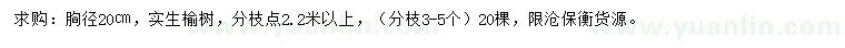 求購胸徑20公分榆樹