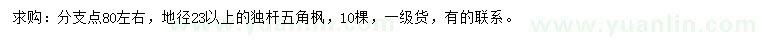 求購(gòu)地徑23公分以上五角楓