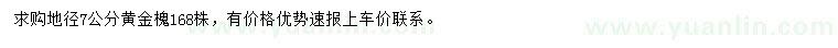 求購地徑7公分黃金槐