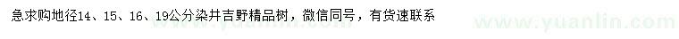 求購(gòu)地徑14、15、16、19公分染井吉野